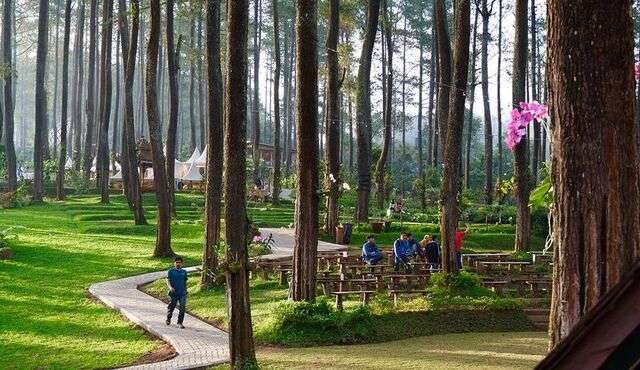 Slot bertema istana kaca di puncak gunung